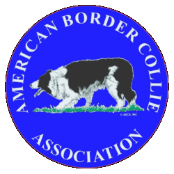 American Border Collie Association